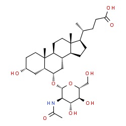 ChemSpider 2D Image | (3alpha,5beta,6alpha)-6-[(2-Acetamido-2-deoxy-beta-D-glucopyranosyl)oxy]-3-hydroxycholan-24-oic acid | C32H53NO9