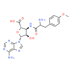ChemSpider 2D Image | beta-D-Ribofuranuronic acid, 3-((2-amino-3-(4-methoxyphenyl)-1-oxopropyl)amino)-1-(6-amino-9H-purin-9-yl)-1,3-dideoxy-, (S)- | C20H23N7O6