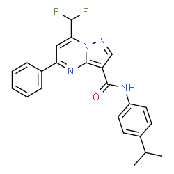ChemSpider 2D Image | 7-(Difluoromethyl)-N-(4-isopropylphenyl)-5-phenylpyrazolo[1,5-a]pyrimidine-3-carboxamide | C23H20F2N4O