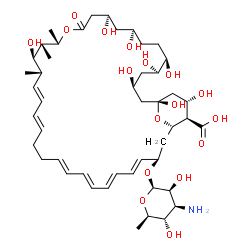 ChemSpider 2D Image | (1R,3S,5R,6R,9R,11R,15S,16R,17R,18S,19E,21E,25E,27E,29E,31E,33R,35S,36R,37S)-33-[(2R,3S,4S,5S,6R)-4-amino-3,5-dihydroxy-6-methyl-tetrahydropyran-2-yl]oxy-1,3,5,6,9,11,17,37-octahydroxy-15,16,18-trimethyl-13-oxo-14,39-dioxabicyclo[33.3.1]nonatriaconta-19,21,25,27,29,31-hexaene-36-carboxylic acid | C47H75NO17
