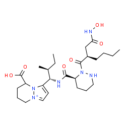ChemSpider 2D Image | 8-Carboxy-1-[(1S,2S)-1-({[(3S)-2-{(2R)-2-[2-(hydroxyamino)-2-oxoethyl]hexanoyl}hexahydro-3-pyridazinyl]carbonyl}amino)-2-methylbutyl]-5,6,7,8-tetrahydropyrazolo[1,2-a]pyridazin-4-ium | C26H43N6O6