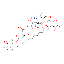 ChemSpider 2D Image | Methyl (1R,3S,5R,6R,9R,11R,15S,16R,17R,18S,19Z,21E,23E,25E,27E,29E,31E,33R,35S,36R,37R,38S)-33-[(3-amino-3,6-dideoxy-beta-D-mannopyranosyl)oxy]-3,5,6,9,11,17,37,38-octahydroxy-15,16,18-trimethyl-13-ox
o-14,39-dioxabicyclo[33.3.1]nonatriaconta-19,21,23,25,27,29,31-heptaene-36-carboxylate | C48H75NO17