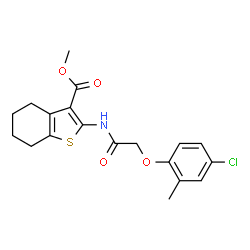 ChemSpider 2D Image | methyl 2-[2-(4-chloro-2-methylphenoxy)acetamido]-4,5,6,7-tetrahydro-1-benzothiophene-3-carboxylate | C19H20ClNO4S