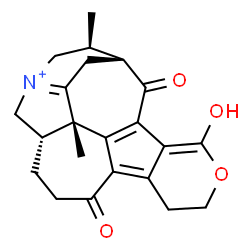 ChemSpider 2D Image | (12S,16S,17R,20S)-3-Hydroxy-16,20-dimethyl-9,22-dioxo-4-oxa-14-azoniahexacyclo[15.4.1.0~2,7~.0~8,21~.0~12,20~.0~14,19~]docosa-1(21),2,7,14(19)-tetraene | C22H24NO4