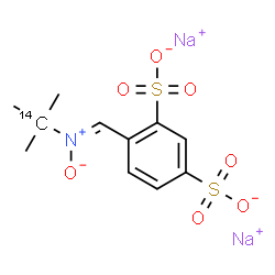 ChemSpider 2D Image | Disodium 4-[(Z)-{[2-methyl(2-~14~C)-2-propanyl](oxido)-lambda~5~-azanylidene}methyl]-1,3-benzenedisulfonate | C1014CH13NNa2O7S2