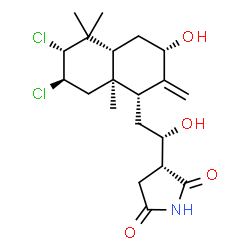 ChemSpider 2D Image | (3R)-3-{(1S)-2-[(1R,3S,4aR,6R,7R,8aR)-6,7-Dichloro-3-hydroxy-5,5,8a-trimethyl-2-methylenedecahydro-1-naphthalenyl]-1-hydroxyethyl}-2,5-pyrrolidinedione | C20H29Cl2NO4