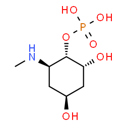 ChemSpider 2D Image | (1S,2R,4S,6R)-2,4-Dihydroxy-6-(methylamino)cyclohexyl dihydrogen phosphate | C7H16NO6P