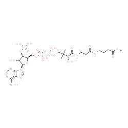 ChemSpider 2D Image | S-Methyl (9R)-1-[(2R,3S,4R,5R)-5-(6-amino-9H-purin-9-yl)-4-hydroxy-3-(phosphonooxy)tetrahydro-2-furanyl]-3,5,9-trihydroxy-8,8-dimethyl-10,14-dioxo-2,4,6-trioxa-11,15-diaza-3,5-diphosphanonadecane-19-t
hioate 3,5-dioxide | C24H40N7O17P3S