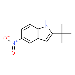 ChemSpider 2D Image | 2-tert-butyl-5-nitro-1H-indole | C12H14N2O2