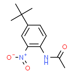 ChemSpider 2D Image | 4'-TERT-BUTYL-2'-NITROACETANILIDE | C12H16N2O3