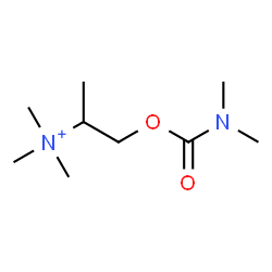 ChemSpider 2D Image | 1-[(Dimethylcarbamoyl)oxy]-N,N,N-trimethyl-2-propanaminium | C9H21N2O2