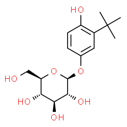 ChemSpider 2D Image | 4-Hydroxy-3-(2-methyl-2-propanyl)phenyl beta-D-glucopyranoside | C16H24O7