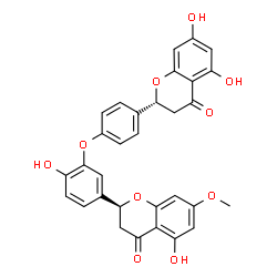 ChemSpider 2D Image | (2S)-2-(3-{4-[(2R)-5,7-Dihydroxy-4-oxo-3,4-dihydro-2H-chromen-2-yl]phenoxy}-4-hydroxyphenyl)-5-hydroxy-7-methoxy-2,3-dihydro-4H-chromen-4-one | C31H24O10