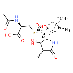 ChemSpider 2D Image | N-Acetyl-S-{[(2R,3S,4R)-3-hydroxy-2-[(1S)-1-hydroxy-2-(~13~C)methyl(~13~C_3_)propyl]-4-methyl-5-oxo(2-~13~C)-2-pyrrolidinyl](oxo)(~13~C)methyl}-L-cysteine | C913C6H24N2O7S