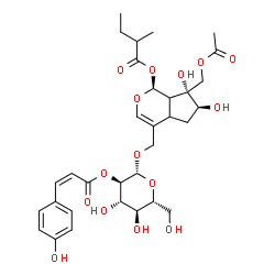 ChemSpider 2D Image | (1S,6S,7R)-7-(Acetoxymethyl)-6,7-dihydroxy-4-[({2-O-[(2Z)-3-(4-hydroxyphenyl)-2-propenoyl]-beta-D-glucopyranosyl}oxy)methyl]-1,4a,5,6,7,7a-hexahydrocyclopenta[c]pyran-1-yl 2-methylbutanoate | C32H42O15