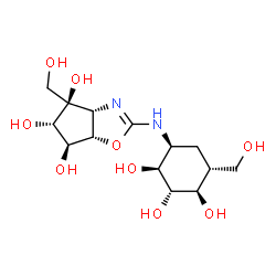 ChemSpider 2D Image | (3aR,4R,5S,6S,6aS)-4-(Hydroxymethyl)-2-{[(1S,2S,3S,4R,5R)-2,3,4-trihydroxy-5-(hydroxymethyl)cyclohexyl]amino}-4,5,6,6a-tetrahydro-3aH-cyclopenta[d][1,3]oxazole-4,5,6-triol | C14H24N2O9