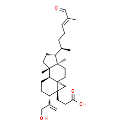 ChemSpider 2D Image | Coronalolic acid | C30H46O4
