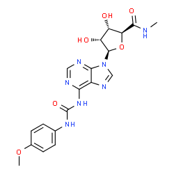 ChemSpider 2D Image | (2S,3S,4R,5R)-3,4-Dihydroxy-5-(6-{[(4-methoxyphenyl)carbamoyl]amino}-9H-purin-9-yl)-N-methyltetrahydro-2-furancarboxamide | C19H21N7O6