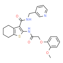 ChemSpider 2D Image | 2-{[(2-Methoxyphenoxy)acetyl]amino}-N-(3-pyridinylmethyl)-4,5,6,7-tetrahydro-1-benzothiophene-3-carboxamide | C24H25N3O4S