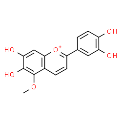 ChemSpider 2D Image | 2-(3,4-Dihydroxyphenyl)-6,7-dihydroxy-5-methoxychromenium | C16H13O6