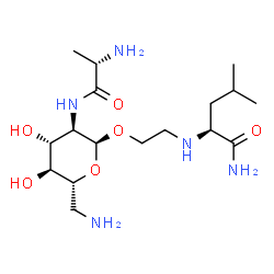 ChemSpider 2D Image | (2S)-2-[(2-{[(2S,3R,4R,5S,6R)-6-(Aminomethyl)-3-{[(2S)-2-aminopropanoyl]amino}-4,5-dihydroxytetrahydro-2H-pyran-2-yl]oxy}ethyl)amino]-4-methylpentanamide | C17H35N5O6