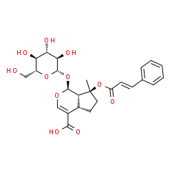 ChemSpider 2D Image | 8-O-cinnamoylmussaenosidic acid | C25H30O11