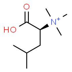 ChemSpider 2D Image | [(1S)-1-carboxy-3-methyl-butyl]-trimethyl-ammonium | C9H20NO2