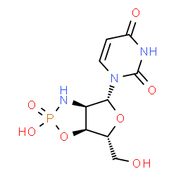ChemSpider 2D Image | 1-[(3aR,4R,6R,6aS)-2-Hydroxy-6-(hydroxymethyl)-2-oxidohexahydrofuro[3,4-d][1,3,2]oxazaphosphol-4-yl]-2,4(1H,3H)-pyrimidinedione | C9H12N3O7P