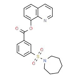 ChemSpider 2D Image | 8-Quinolinyl 3-(1-azepanylsulfonyl)benzoate | C22H22N2O4S