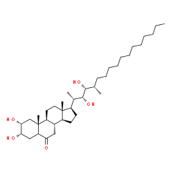 ChemSpider 2D Image | (2R,3S,8S,9S,10R,13S,14S,17R)-17-[(2S,3R,4R,5S)-3,4-Dihydroxy-5-methyl-2-heptadecanyl]-2,3-dihydroxy-10,13-dimethylhexadecahydro-6H-cyclopenta[a]phenanthren-6-one | C37H66O5