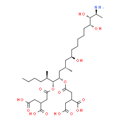 ChemSpider 2D Image | 2,2'-{[(5R,6R,7S,9S,11R,17R,18R,19S)-19-Amino-11,17,18-trihydroxy-5,9-dimethyl-6,7-icosanediyl]bis[oxy(2-oxo-2,1-ethanediyl)]}disuccinic acid | C34H59NO15