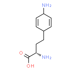 ChemSpider 2D Image | (2S)-2-Amino-4-(4-amino-2,5-cyclohexadien-1-yl)butanoic acid | C10H16N2O2