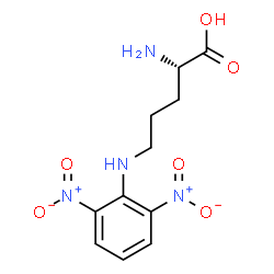 ChemSpider 2D Image | N~5~-(2,6-Dinitrophenyl)-L-ornithine | C11H14N4O6