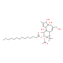 ChemSpider 2D Image | 9a-Acetoxy-4a,5,7b-trihydroxy-3-(hydroxymethyl)-1,1,6,8-tetramethyl-1a,1b,4,4a,5,7a,7b,8,9,9a-decahydro-1H-cyclopropa[3,4]benzo[1,2-e]azulen-9-yl myristate | C36H58O8