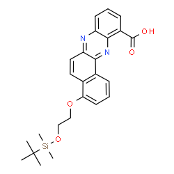 ChemSpider 2D Image | 4-(2-{[Dimethyl(2-methyl-2-propanyl)silyl]oxy}ethoxy)benzo[a]phenazine-11-carboxylic acid | C25H28N2O4Si