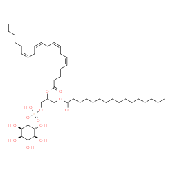 ChemSpider 2D Image | 1-[(Hydroxy{[(2R,3R,5S,6R)-2,3,4,5,6-pentahydroxycyclohexyl]oxy}phosphoryl)oxy]-3-(palmitoyloxy)-2-propanyl (5Z,8Z,11Z,14Z)-5,8,11,14-icosatetraenoate | C45H79O13P