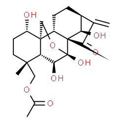 ChemSpider 2D Image | (1alpha,5beta,6beta,7alpha,8alpha,9beta,10alpha,13alpha,14R)-1,6,7,14-Tetrahydroxy-15-oxo-7,20-epoxykaur-16-en-18-yl acetate | C22H30O8