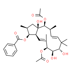ChemSpider 2D Image | (1S,2S,3aR,4S,5S,6E,9S,10R,11S,12E,13aS)-4,11-Diacetoxy-3a,9,10-trihydroxy-2,5,8,8,12-pentamethyl-2,3,3a,4,5,8,9,10,11,13a-decahydro-1H-cyclopenta[12]annulen-1-yl benzoate | C31H42O9