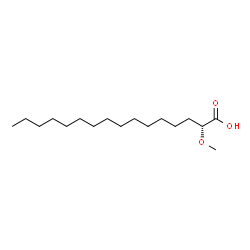 ChemSpider 2D Image | (R)-2-methoxyhexadecanoic acid | C17H34O3