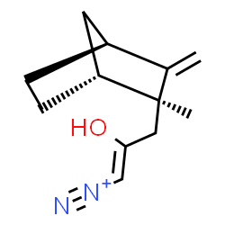 ChemSpider 2D Image | (1Z)-2-Hydroxy-3-[(1R,2S,4S)-2-methyl-3-methylenebicyclo[2.2.1]hept-2-yl]-1-propene-1-diazonium | C12H17N2O