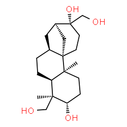 ChemSpider 2D Image | (1S,2S,5S,6R,7S,10S,12R,13R)-6,13-Bis(hydroxymethyl)-2,6-dimethyltetracyclo[10.3.1.0~1,10~.0~2,7~]hexadecane-5,13-diol | C20H34O4