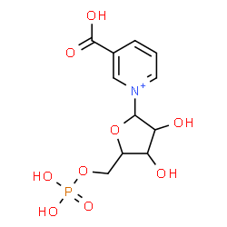 ChemSpider 2D Image | 3-Carboxy-1-(5-O-phosphonopentofuranosyl)pyridinium | C11H15NO9P