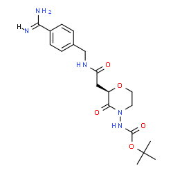ChemSpider 2D Image | 2-Methyl-2-propanyl [(2R)-2-{2-[(4-carbamimidoylbenzyl)amino]-2-oxoethyl}-3-oxo-4-morpholinyl]carbamate | C19H27N5O5