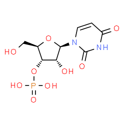 ChemSpider 2D Image | 3'-UMP | C9H13N2O9P
