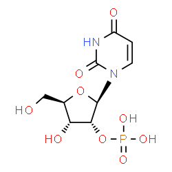 ChemSpider 2D Image | 2'-Uridylic acid | C9H13N2O9P