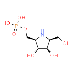 ChemSpider 2D Image | [(2R,3R,4R,5S)-3,4-Dihydroxy-5-(hydroxymethyl)-2-pyrrolidinyl]methyl dihydrogen phosphate | C6H14NO7P