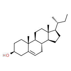 ChemSpider 2D Image | (3S,8S,9S,10R,13R,14S,17R)-17-[(2R)-2-Butanyl]-10,13-dimethyl-2,3,4,7,8,9,10,11,12,13,14,15,16,17-tetradecahydro-1H-cyclopenta[a]phenanthren-3-ol | C23H38O