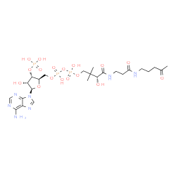 ChemSpider 2D Image | [(2R,3S,4R,5R)-5-(6-Amino-9H-purin-9-yl)-4-hydroxy-3-(phosphonooxy)tetrahydro-2-furanyl]methyl (3R)-3-hydroxy-2,2-dimethyl-4-oxo-4-({3-oxo-3-[(4-oxopentyl)amino]propyl}amino)butyl dihydrogen diphospha
te | C24H40N7O17P3