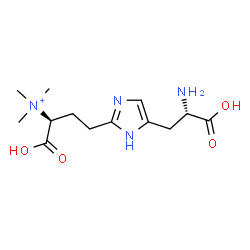ChemSpider 2D Image | (1S)-3-{5-[(2S)-2-Amino-2-carboxyethyl]-1H-imidazol-2-yl}-1-carboxy-N,N,N-trimethyl-1-propanaminium | C13H23N4O4