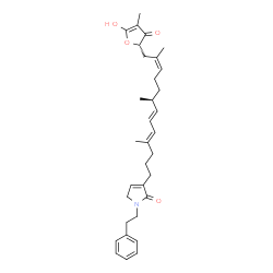 ChemSpider 2D Image | 3-{(4E,6E,8S,11Z)-13-[(2S)-5-Hydroxy-4-methyl-3-oxo-2,3-dihydro-2-furanyl]-4,8,12-trimethyl-4,6,11-tridecatrien-1-yl}-1-(2-phenylethyl)-1,5-dihydro-2H-pyrrol-2-one | C33H43NO4